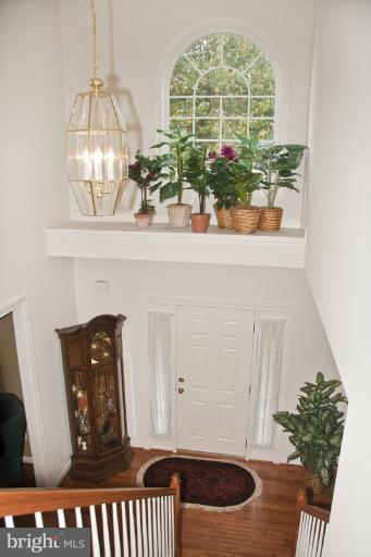 7917 Clark Station Road Severn, MD 21144 - Photo 19 of 24 2 story foyer