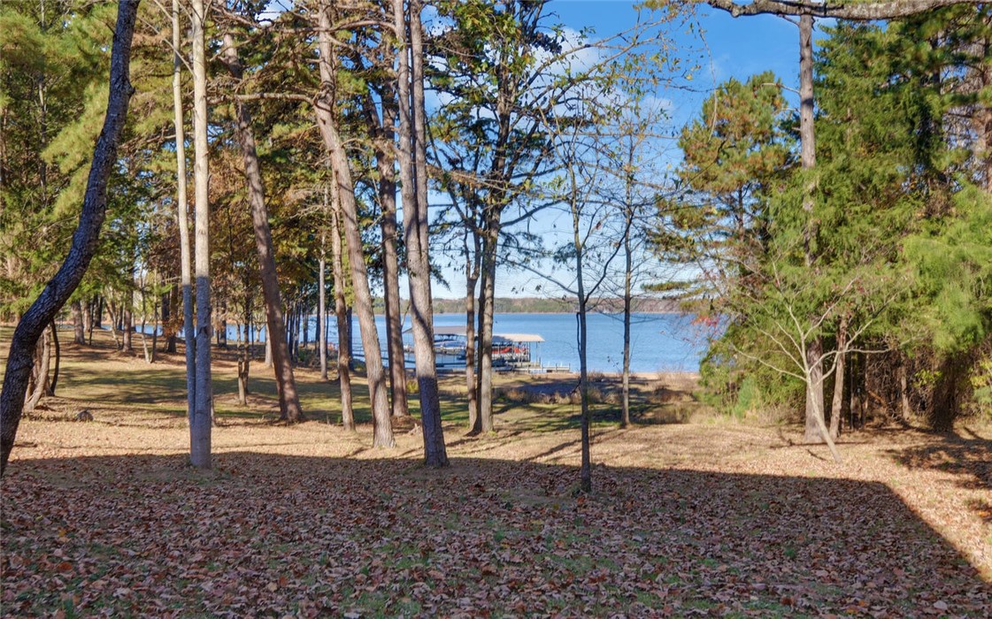 1145 Elrod Ferry Road Hartwell, GA 30643 - Photo 40 of 50 Gallery Image 40