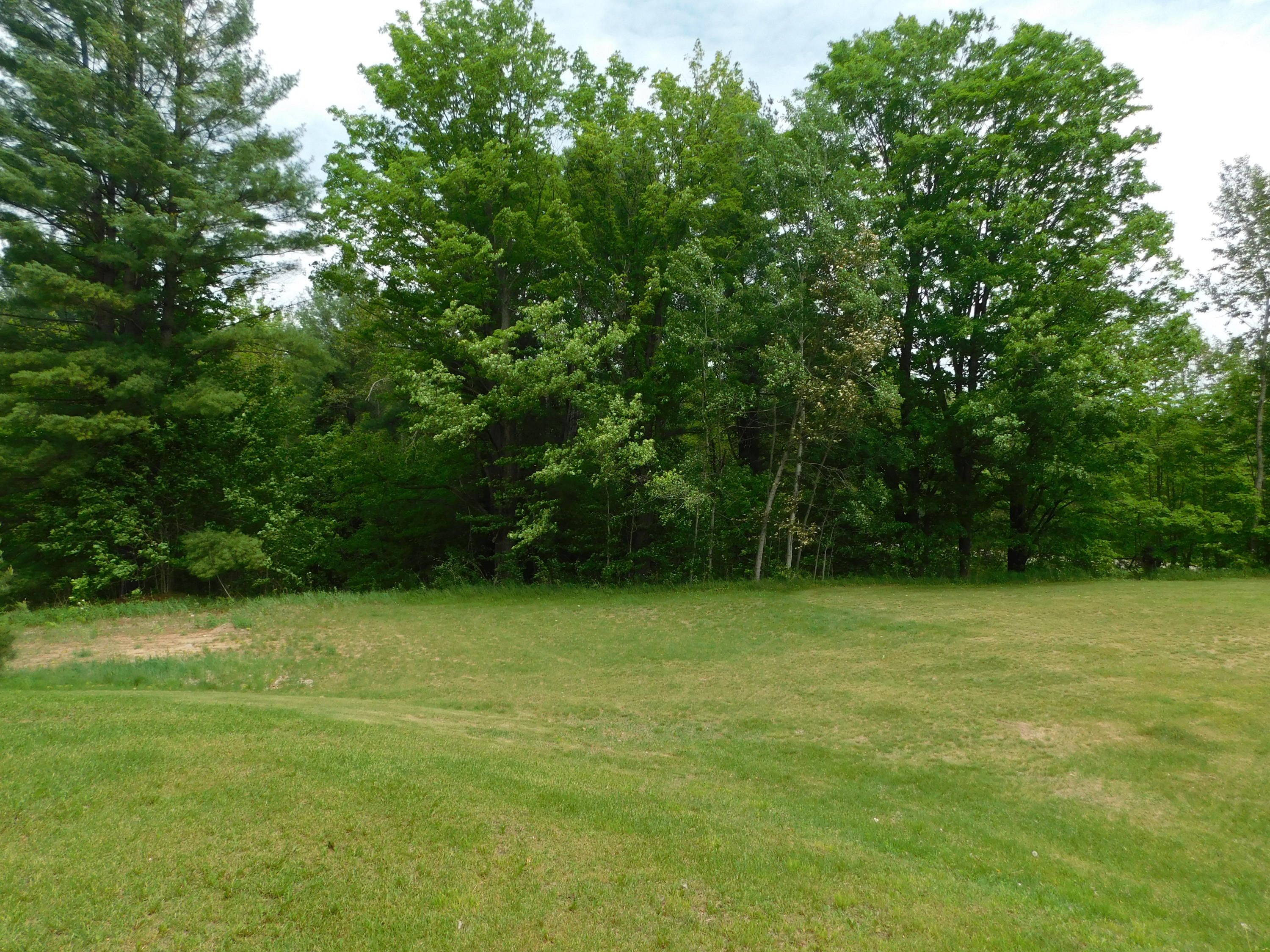 1535 North Galbraith Road Mio, MI 48647 - Photo 19 of 25 Gallery Image 19
