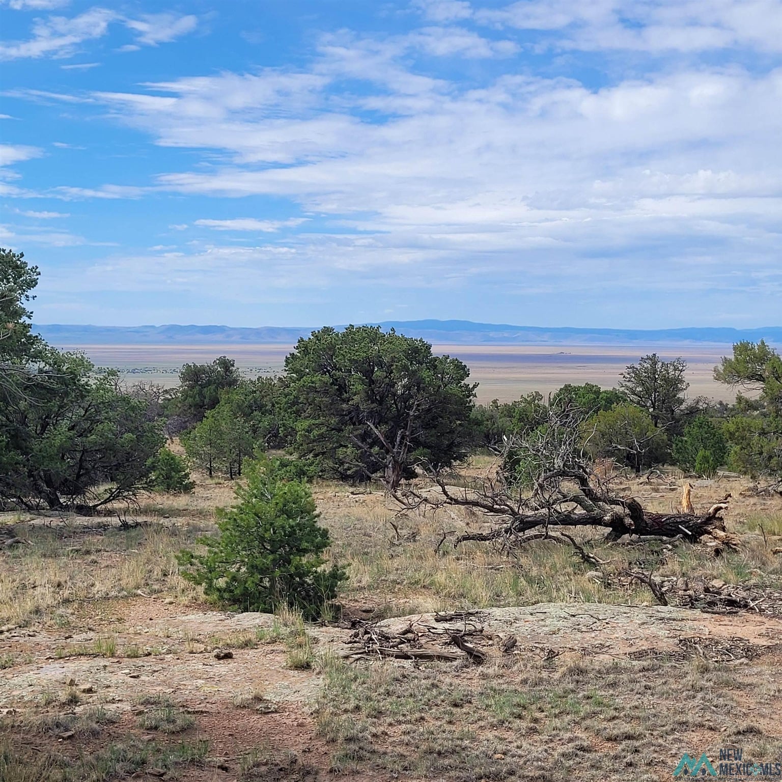 0 Lookout Loop, Unit 89 Datil, NM 87821 - Photo 25 of 38 Gallery Image 25