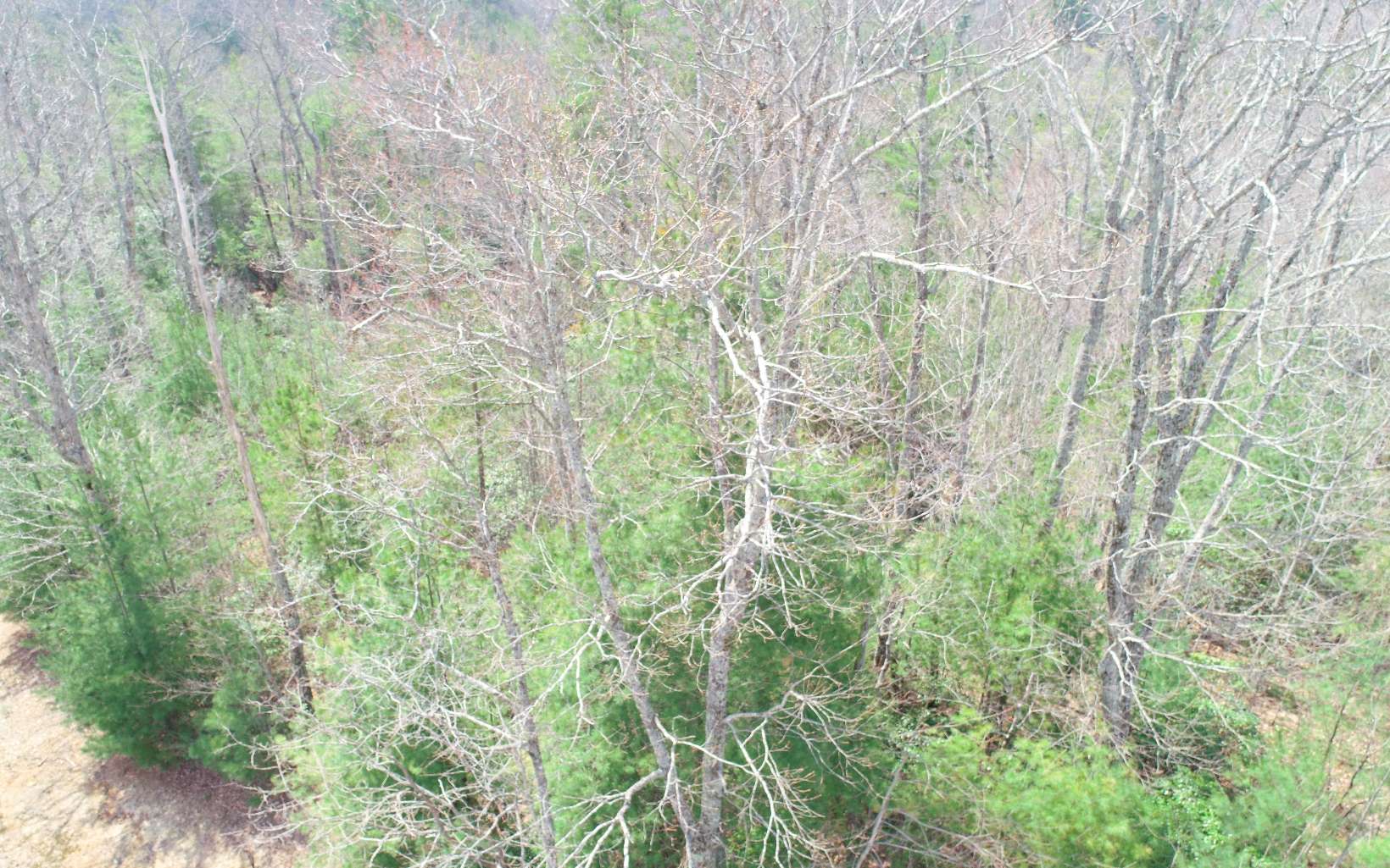 Gold Mine Knob Dallas, GA 30157 - Photo 2 of 9 Additional View