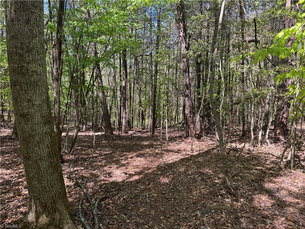 1460 Byrd Ridge Road North Wilkesboro, NC 28659 - Photo 24 of 26