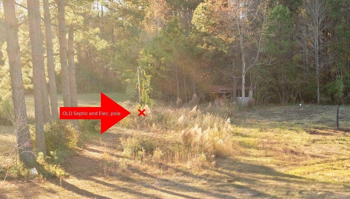 149-1 Donald Lane Bonneau, SC 29431 - Photo 6 of 14 OLD Septic and Elec. pole