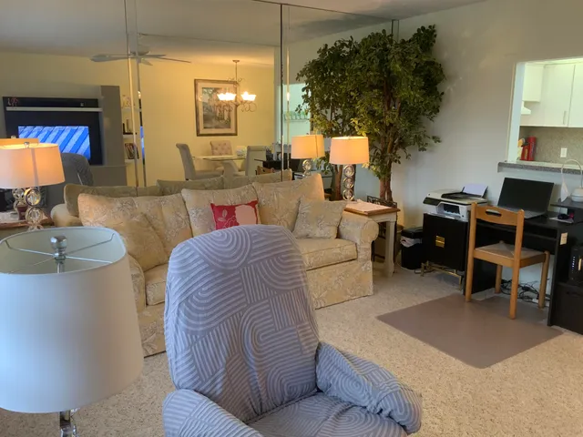 a living room with furniture a lamp a rug and a potted plant