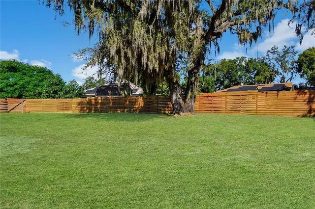 a view of green field with trees