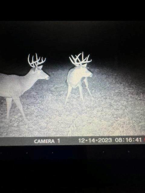 1999 Native Road Fort Scott, KS 66701 - Photo 1 of 8