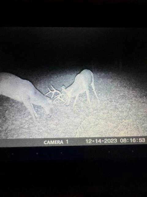 1999 Native Road Fort Scott, KS 66701 - Photo 3 of 8