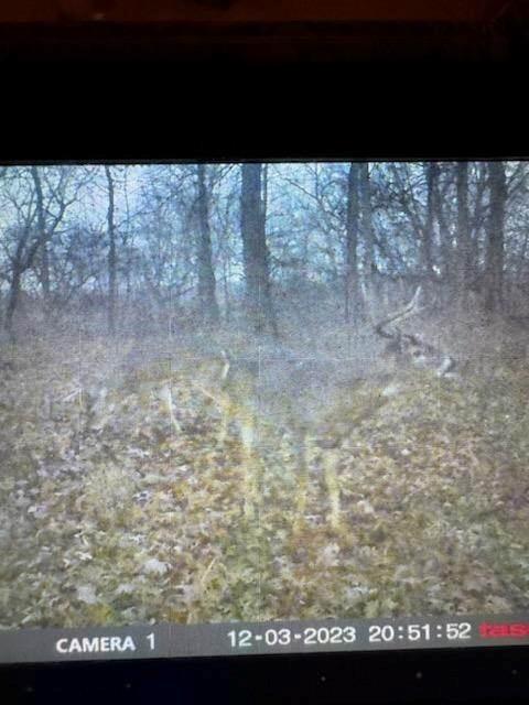 1999 Native Road Fort Scott, KS 66701 - Photo 5 of 8