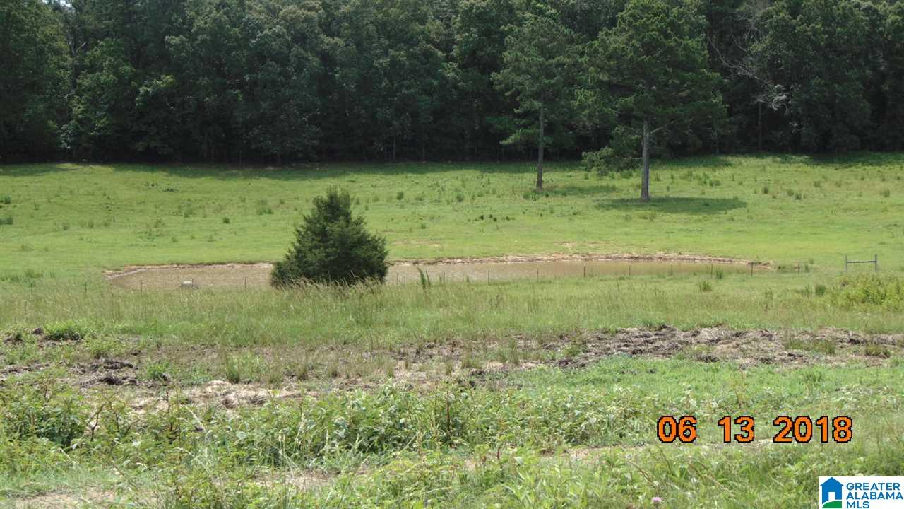 0 West Ashby Road Brierfield, AL 35035 - Photo 15 of 22
