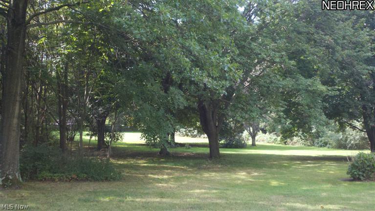 1186 Krumroy Road Akron, OH 44306 - Photo 2 of 14 Heavily wooded side yards.