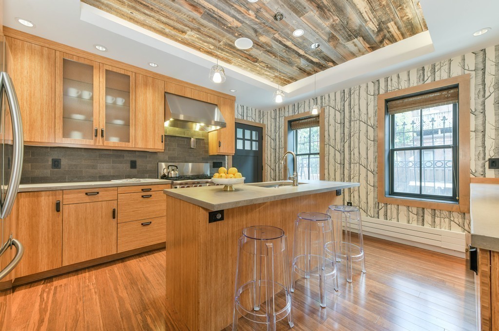 27 Rutland Street, Unit 2 Boston, MA 02118 - Photo 5 of 23 Gallery Image 5