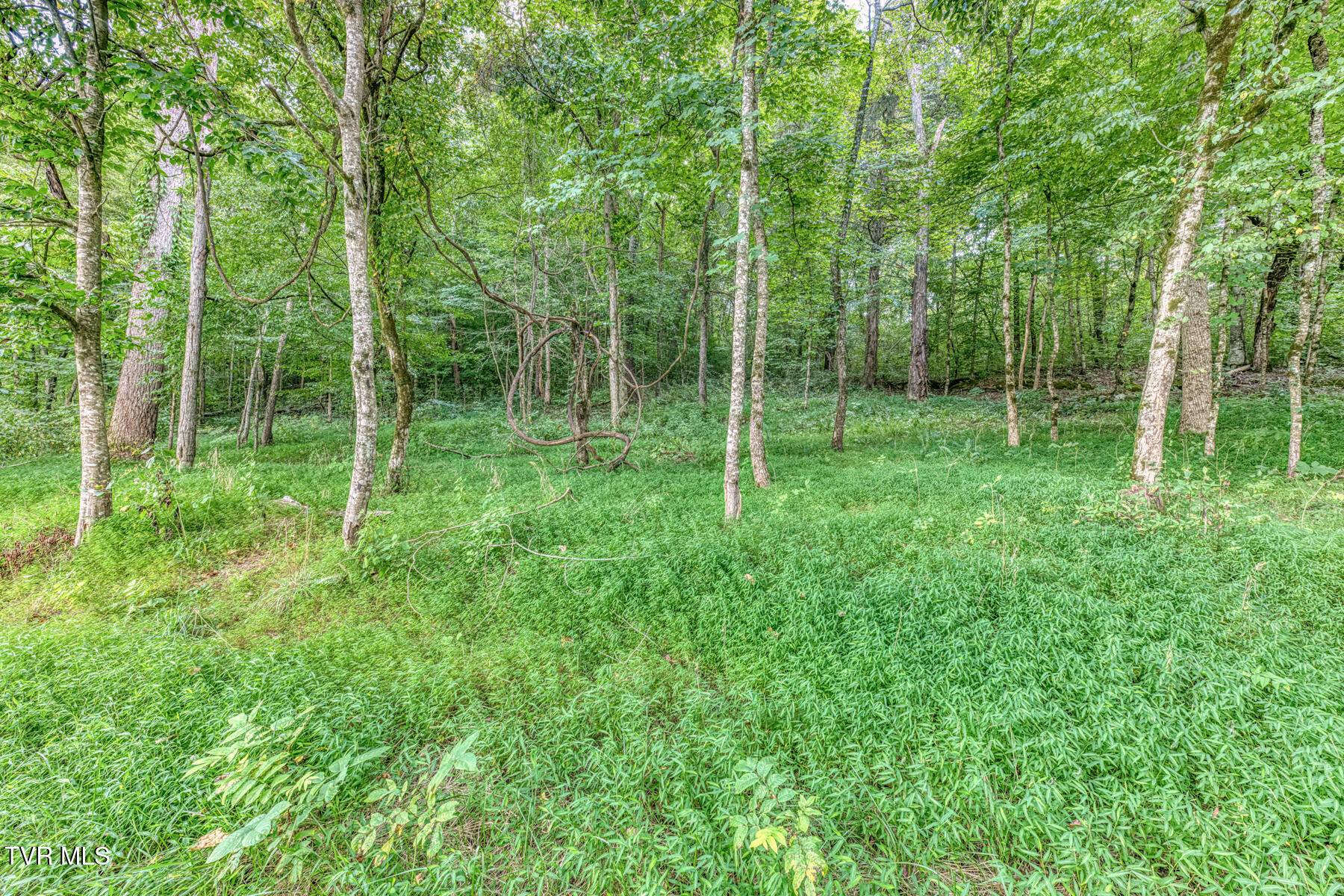 1633 Poplar Springs Road, Unit 6 Greeneville, TN 37743 - Photo 21 of 30 1633 Poplar Springs Rd-21