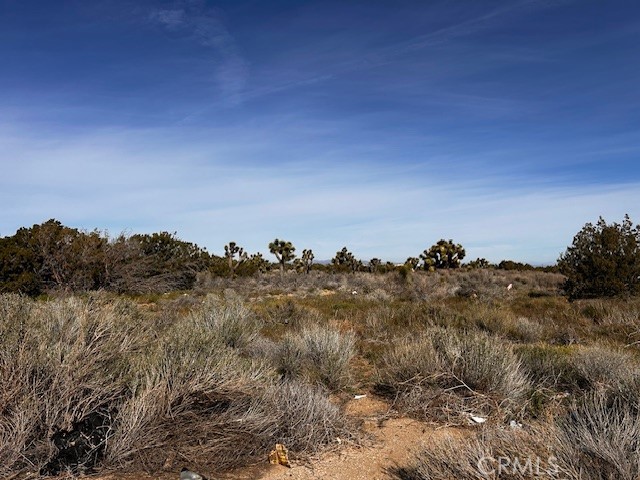 0 Rd Phelan Ca Phelan, CA 92371 - Photo 1 of 15 a view of a bunch of trees in a field