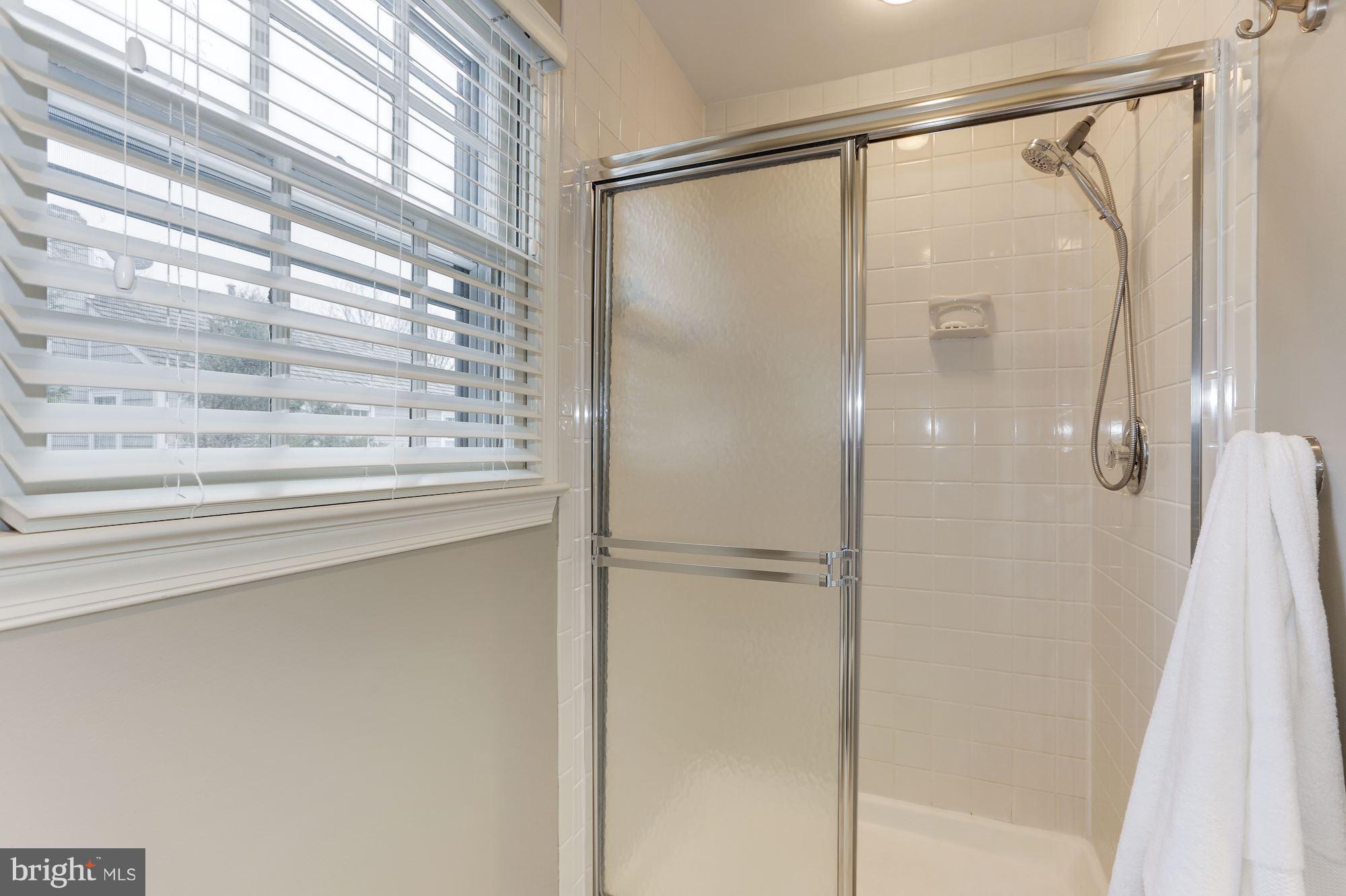 11606 Springhouse Place Reston, VA 20194 - Photo 16 of 30 Bath (Master)