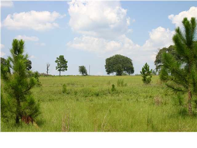 0 Helms Farm Road Laurel Hill, FL 32567 - Photo 1 of 4 Gallery Image 1
