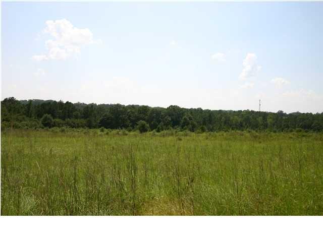 0 Helms Farm Road Laurel Hill, FL 32567 - Photo 2 of 4 Gallery Image 2