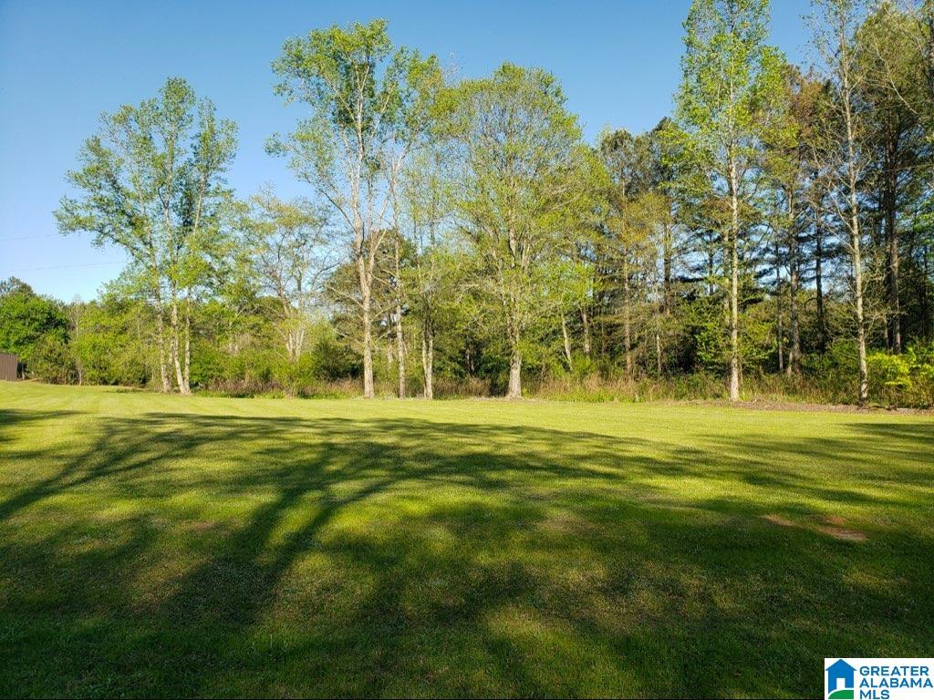 2015 Mayo Road Altoona, AL 35952 - Photo 5 of 30