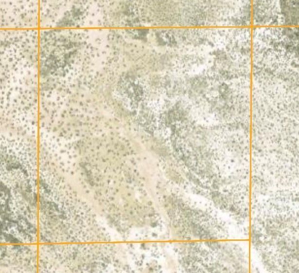 40 Acres T31n Crescent Valley, NV 89821 - Photo 4 of 9