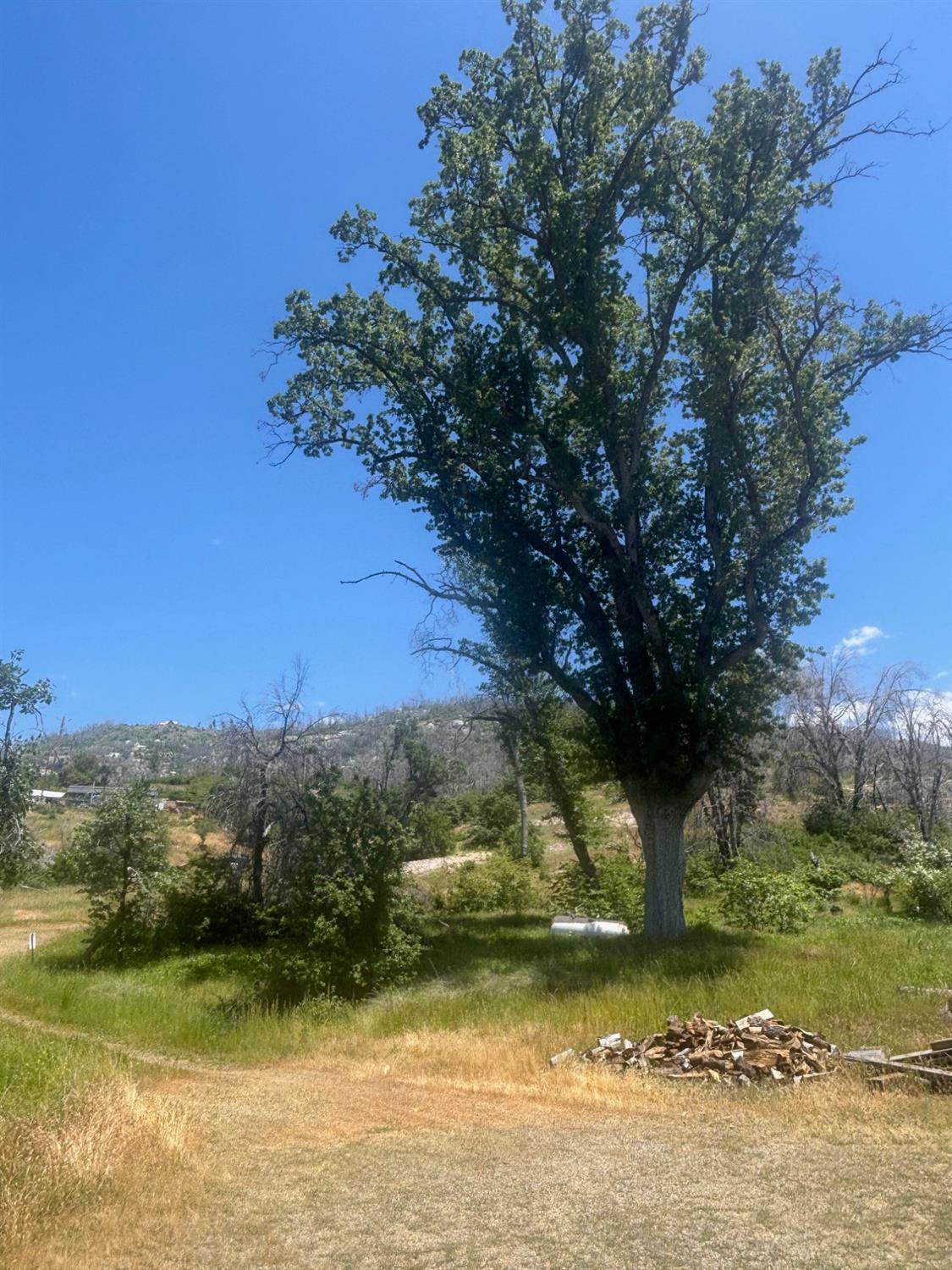 36701 Peterson Road Auberry, CA 93602 - Photo 1 of 2