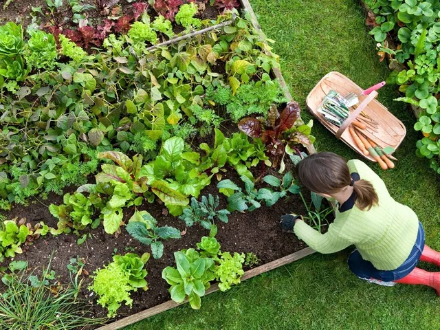 a view of swimming pool with a garden