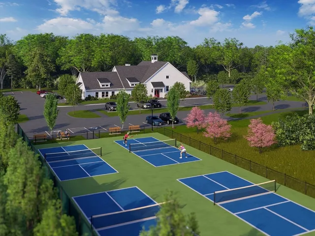 a aerial view of a backyard