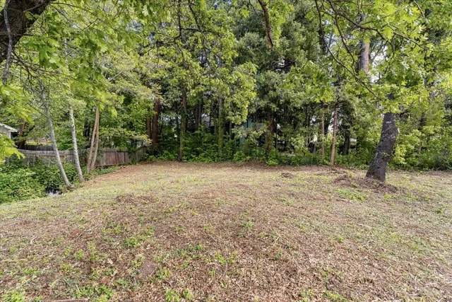 a view of a yard with a tree