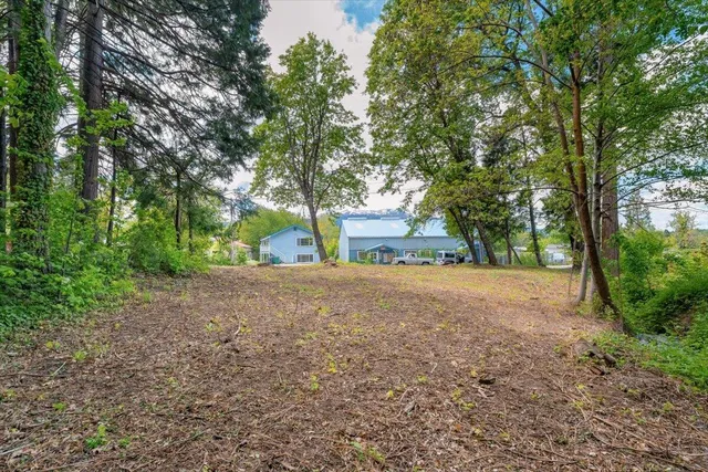 a view of a house with large trees