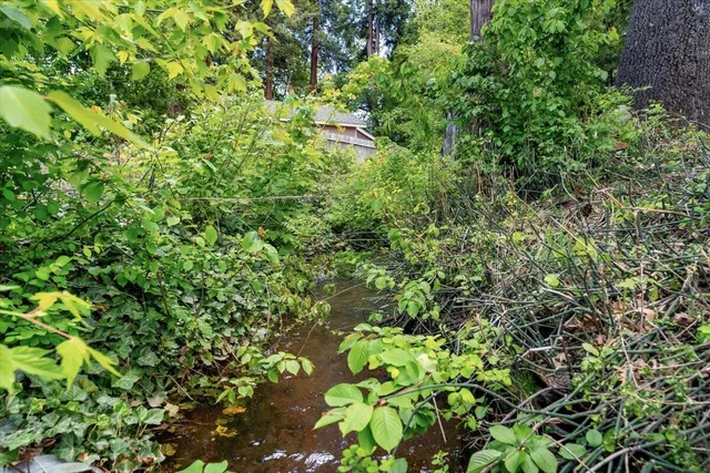 a backyard of a house with lots of green space