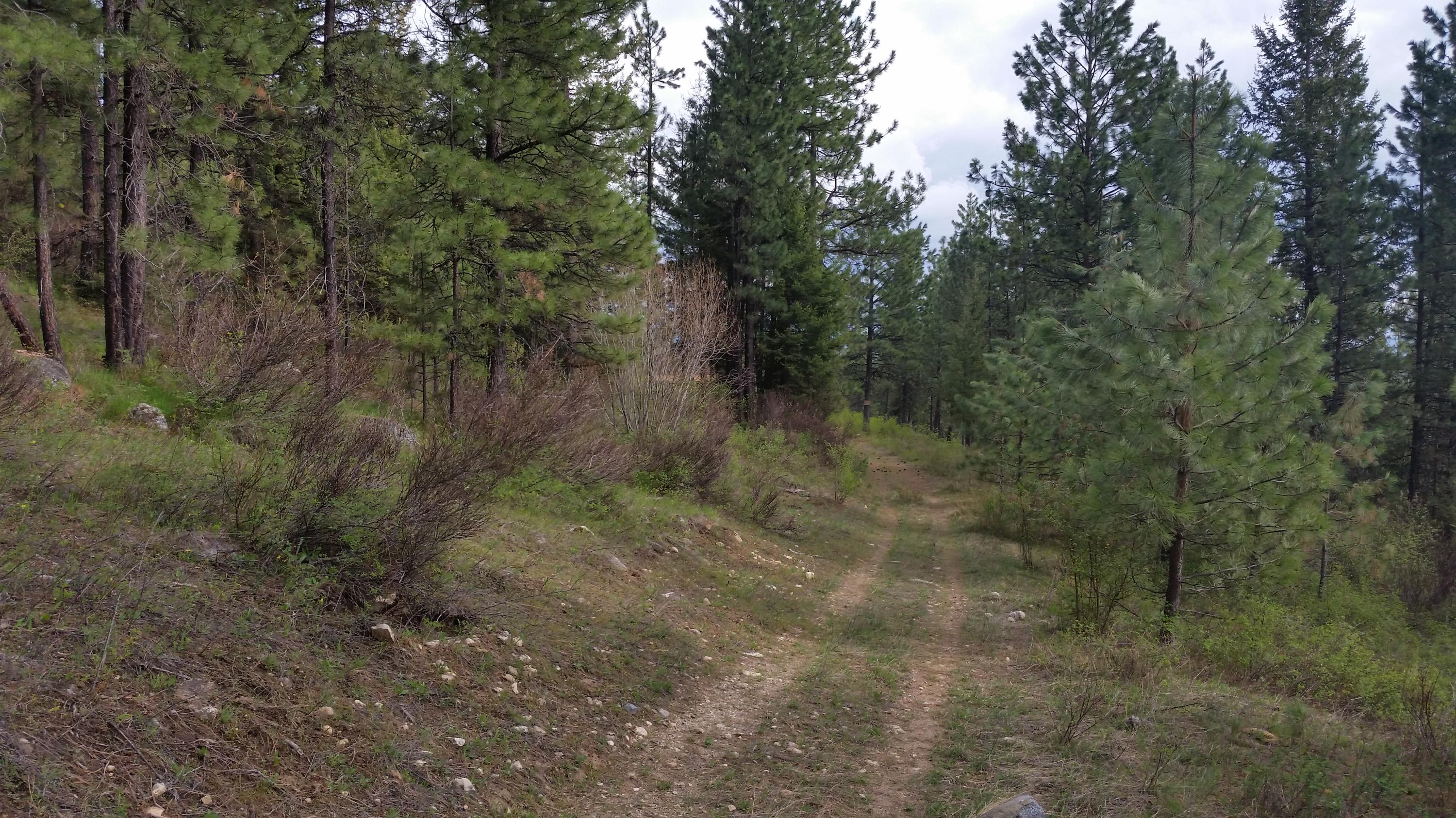 Nka South Mellick Road Post Falls, ID 83854 - Photo 1 of 1 20160412_161320