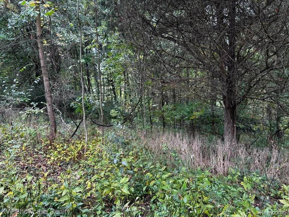 0 Spicer Road Whitmore Lake, MI 48189 - Photo 9 of 26 Wooded lot