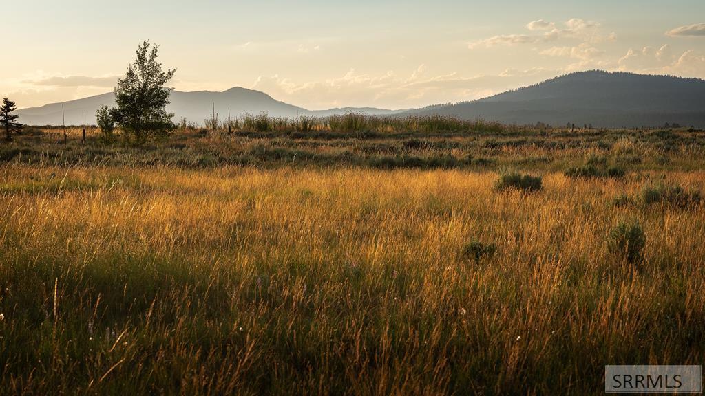Lot 38 Eagles View Road Island Park, ID 83429 - Photo 1 of 9 Main View