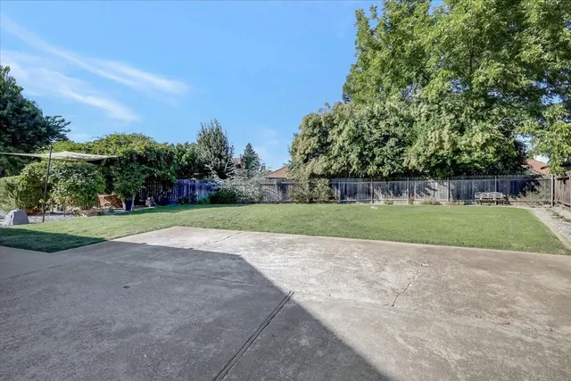 a view of a yard with plants and trees