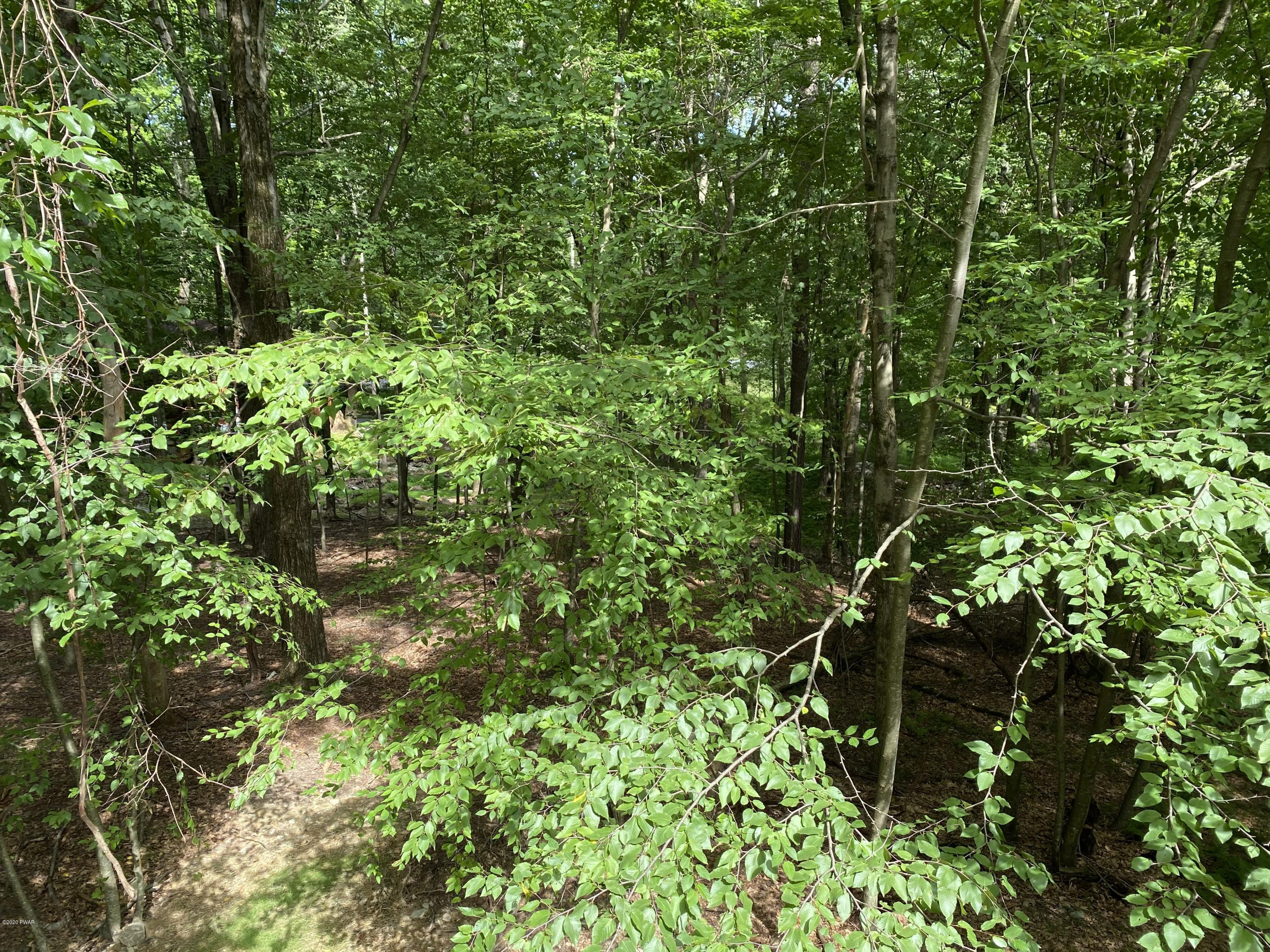 530 West Chipmunk Road Bushkill, PA 18324 - Photo 17 of 34 77AEB8CE-30FF-47E4-AC3D-156C40C19F7E