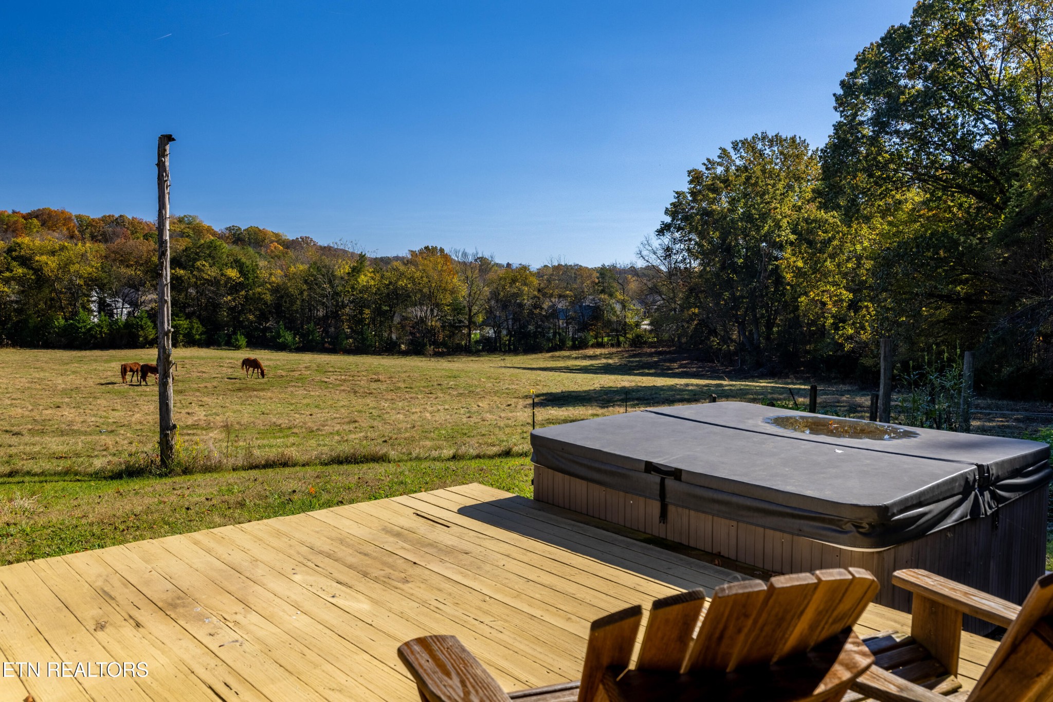 3070 West Fork Road Loudon, TN 37774 - Photo 28 of 48 a view of a swimming pool with a table and chairs