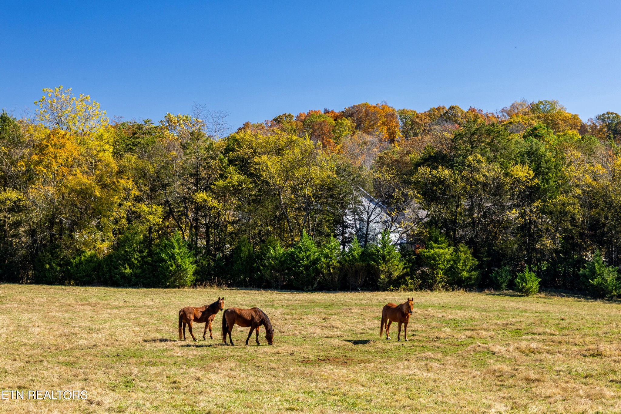 3070 West Fork Road Loudon, TN 37774 - Photo 29 of 48 a view of a lake