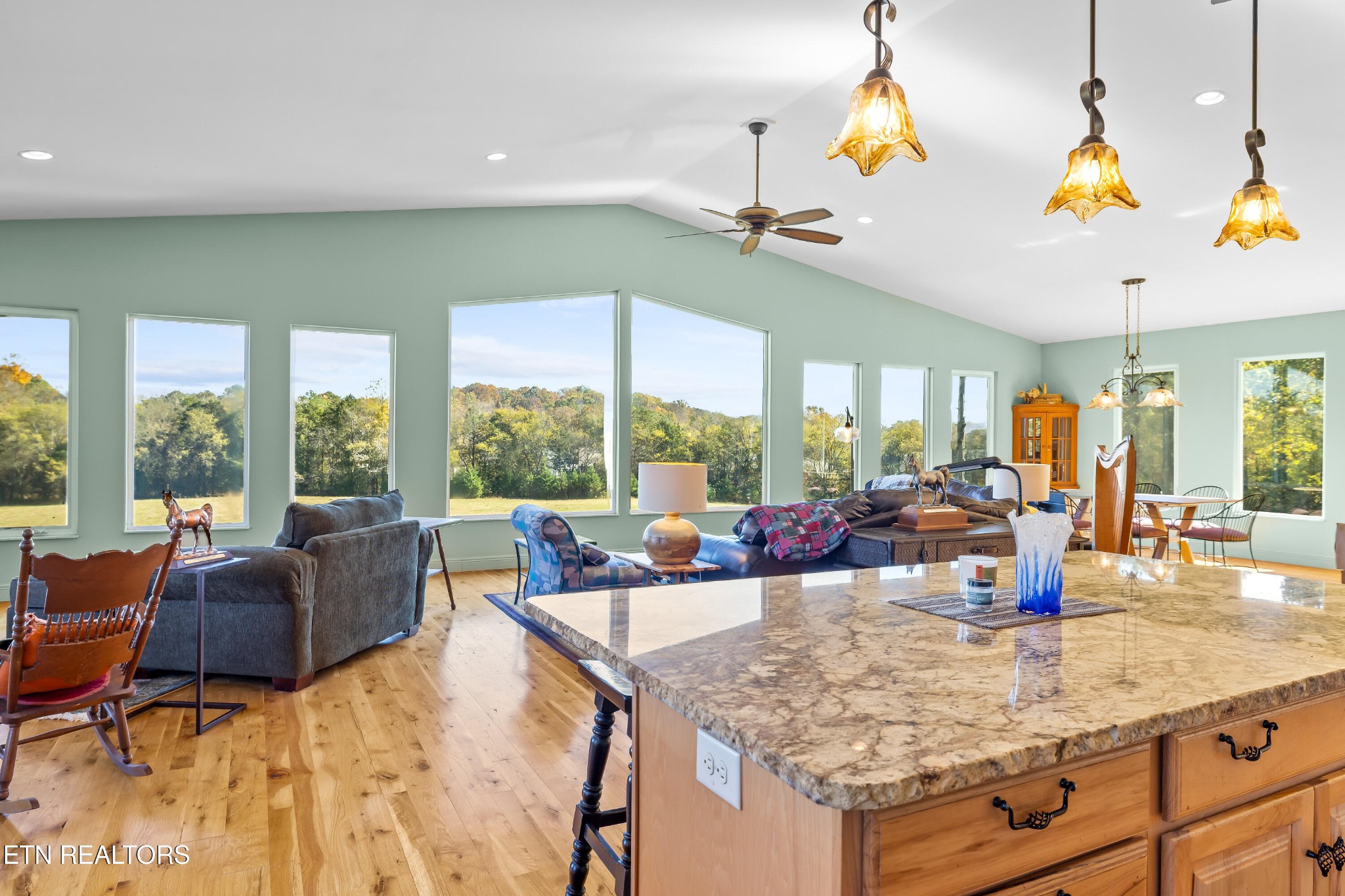 3070 West Fork Road Loudon, TN 37774 - Photo 9 of 48 a view of a living room and dining area