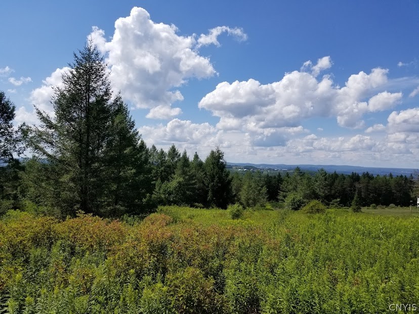 0 Terry Hill Road Alpine, NY 14805 - Photo 1 of 1