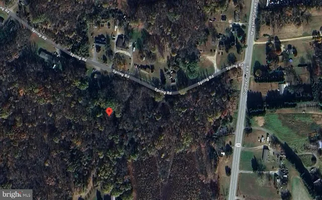 a picture of street and flowers