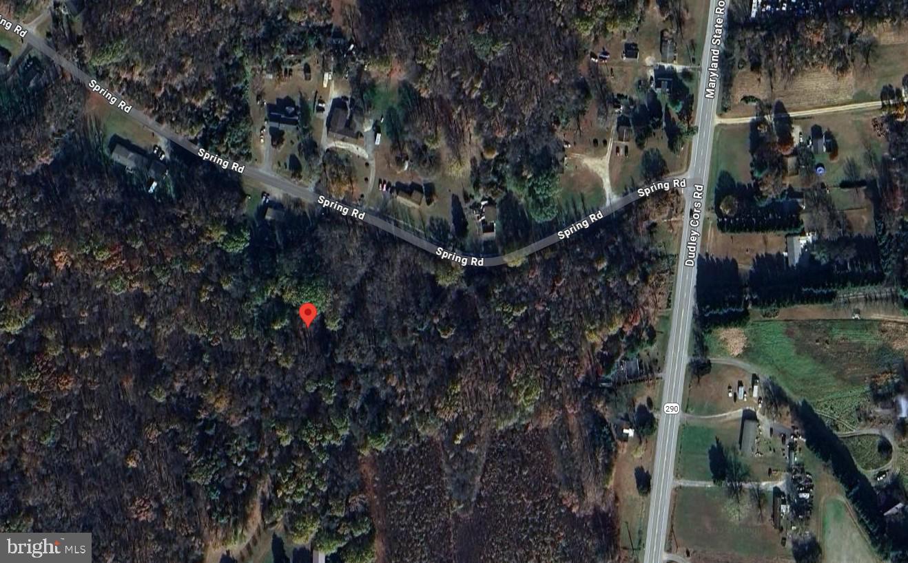 a picture of street and flowers