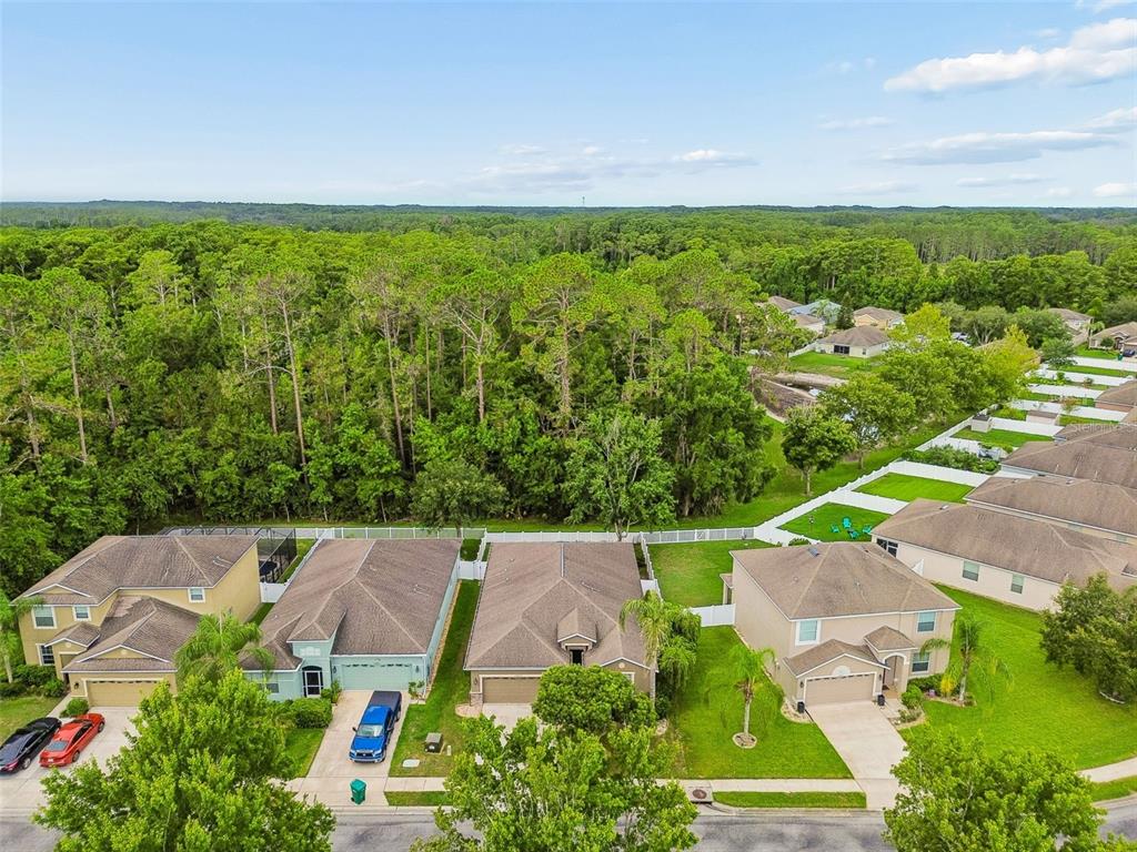 12815 White Bluff Road Hudson, FL 34669 - Photo 62 of 65