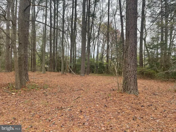 $24,995 | Lot 182 Weatherall Drive, Montross, VA 22520