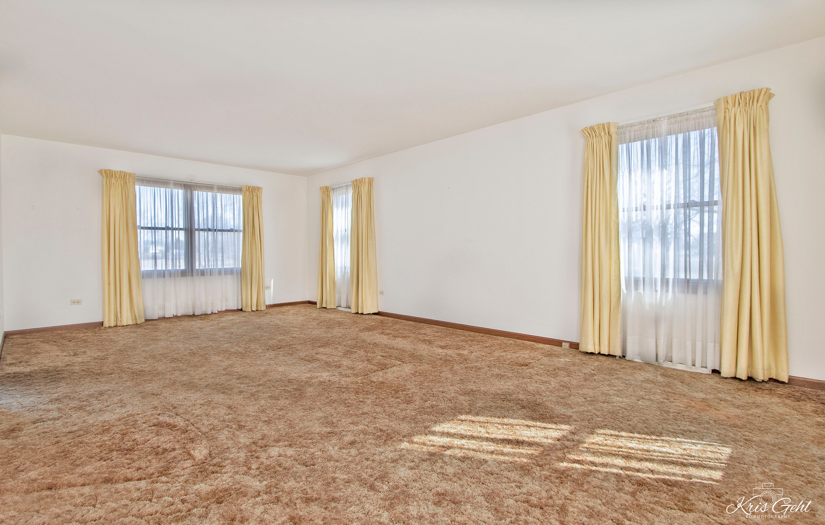 1004 Paddock Road Spring Grove, IL 60081 - Photo 2 of 26 an empty room with windows
