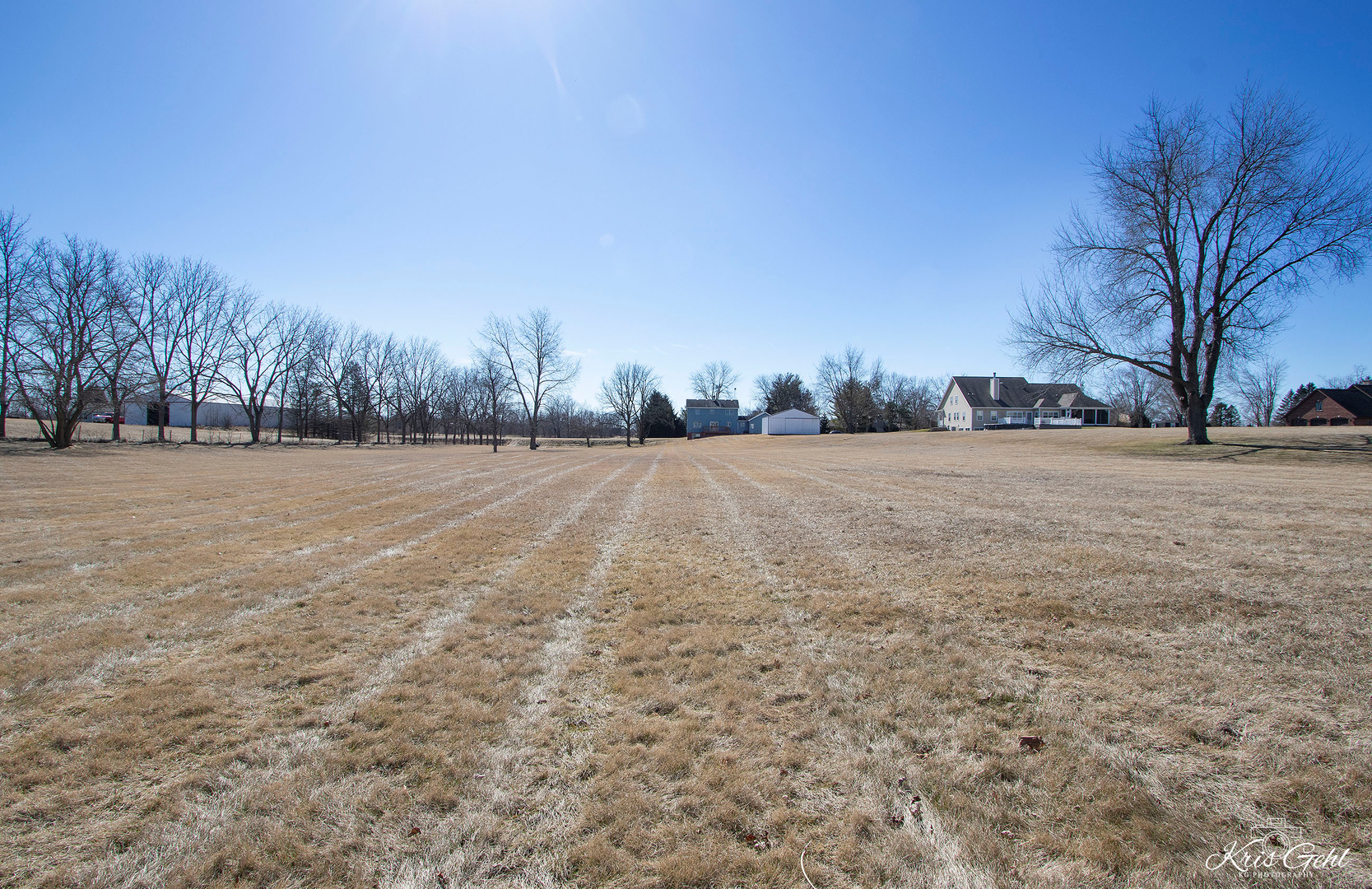 1004 Paddock Road Spring Grove, IL 60081 - Photo 24 of 26 a backyard of a house with trees