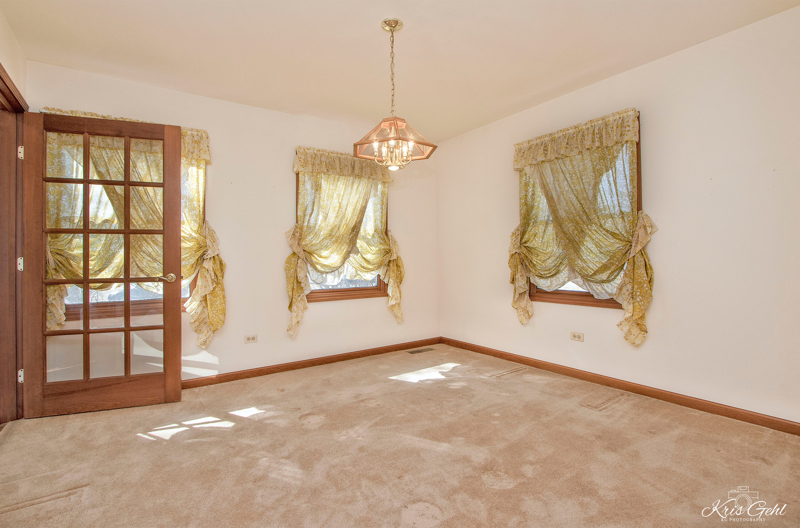 1004 Paddock Road Spring Grove, IL 60081 - Photo 6 of 26 an empty room with windows and ceiling fan