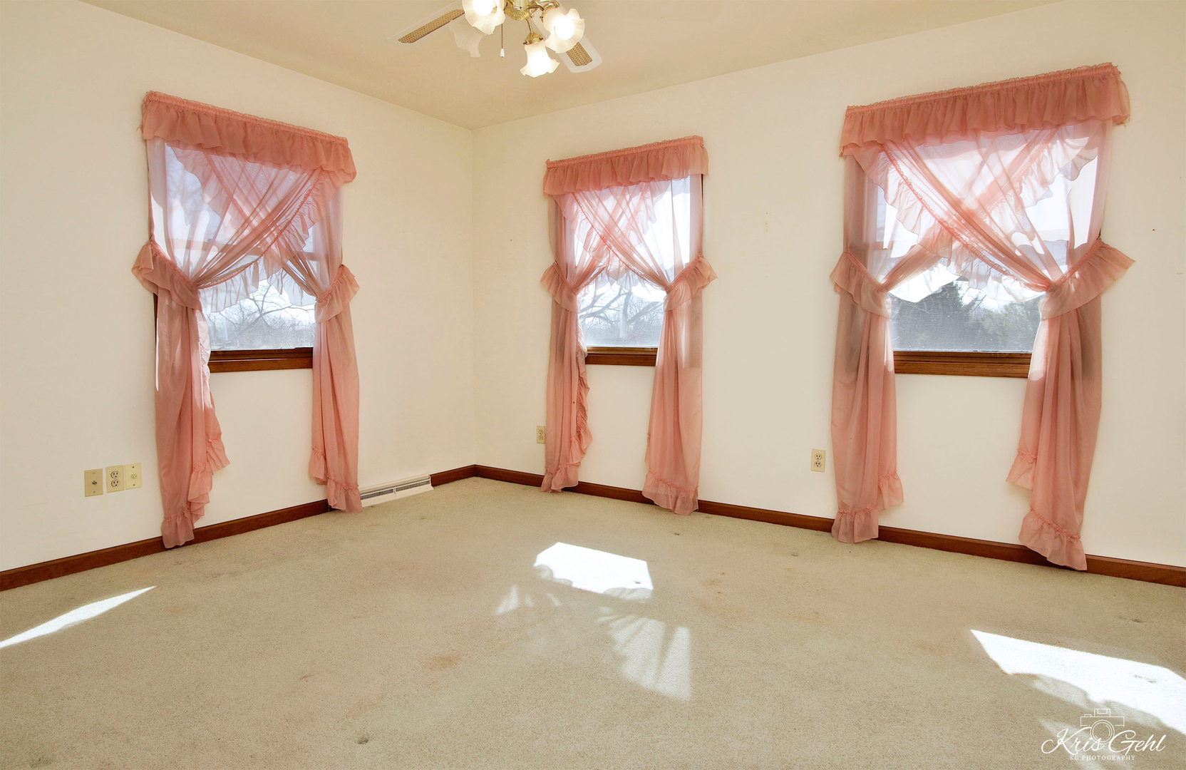 1004 Paddock Road Spring Grove, IL 60081 - Photo 9 of 26 an empty room with windows and closet