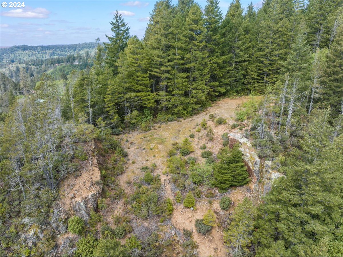 18668 Ranch Road Brookings, OR 97415 - Photo 41 of 48 a view of a yard with trees in the background