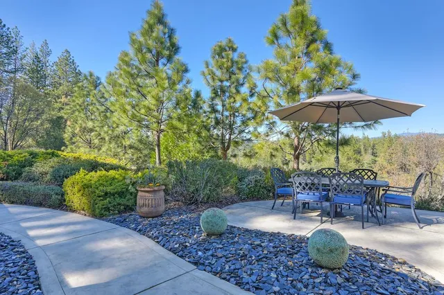 a view of a patio with chairs and plants