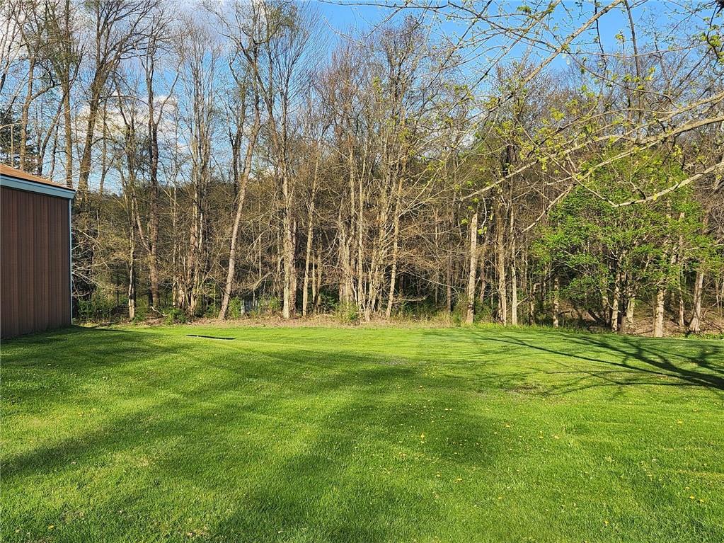 935 Rockdale Road Butler, PA 16002 - Photo 34 of 34 a big yard with lots of green space and trees