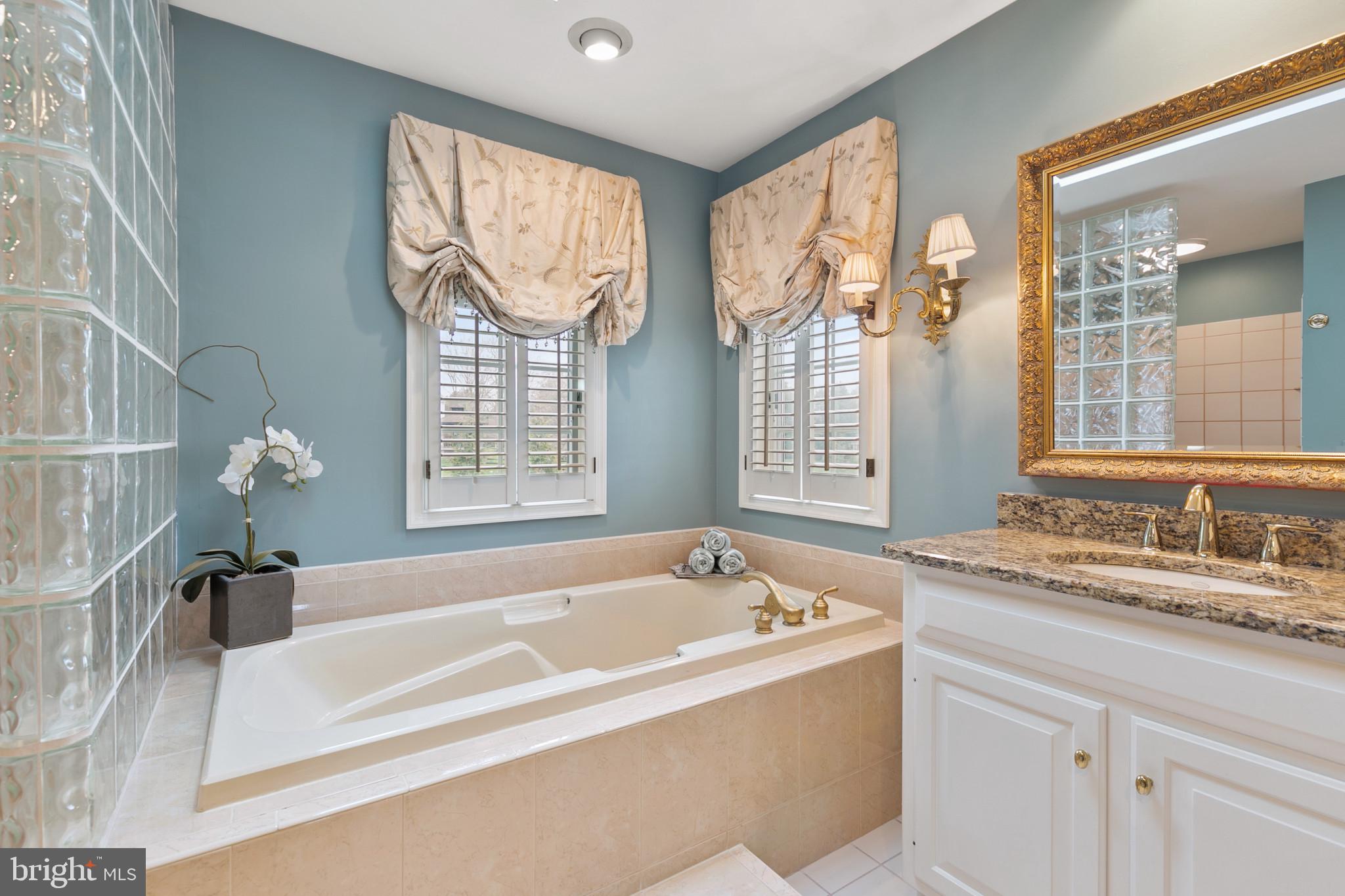 14005 Manor Road Baldwin, MD 21013 - Photo 31 of 56 Soaking Tub