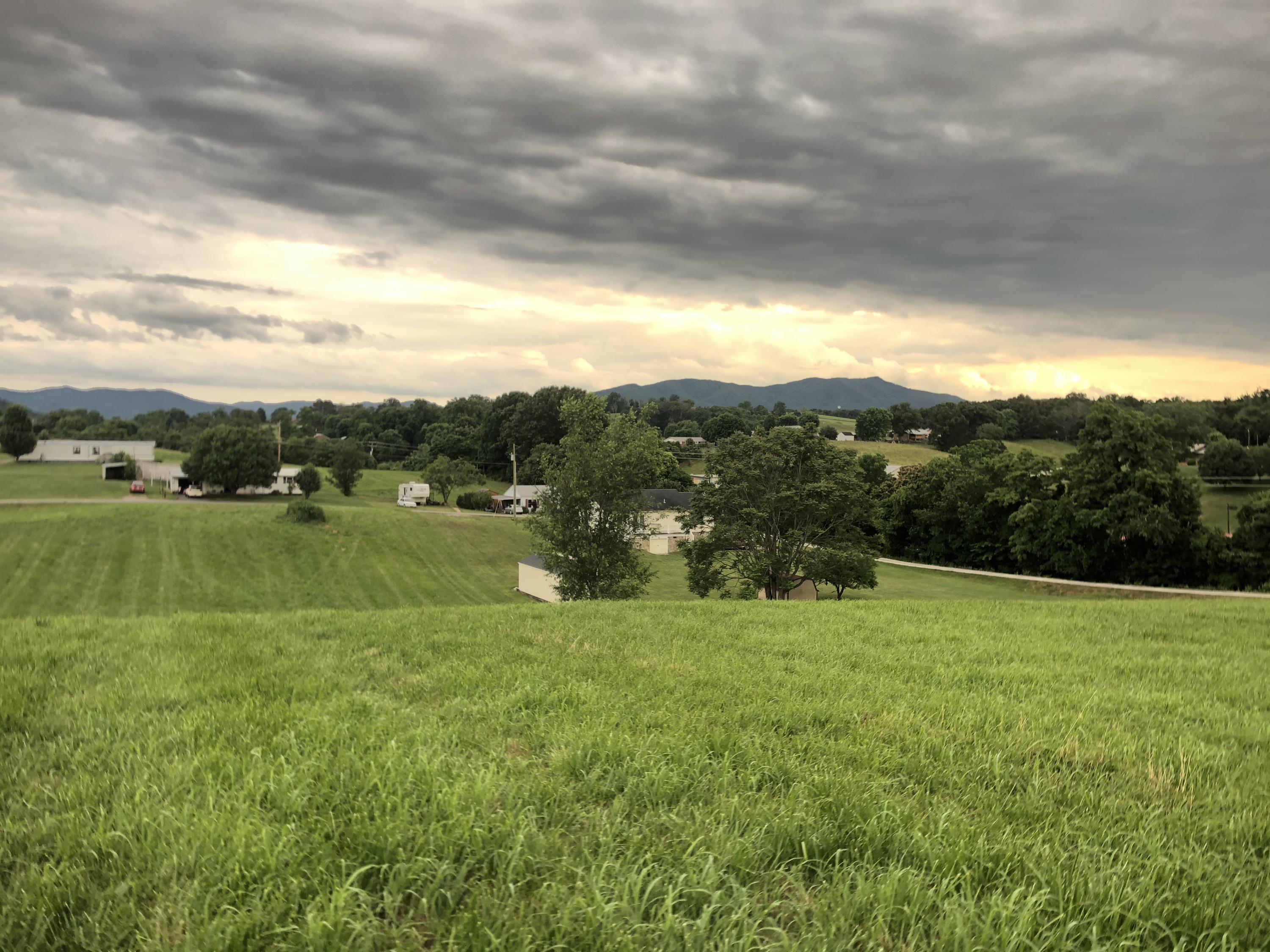 55 Flag Branch Road Greeneville, TN 37743 - Photo 42 of 52 IMG_9437